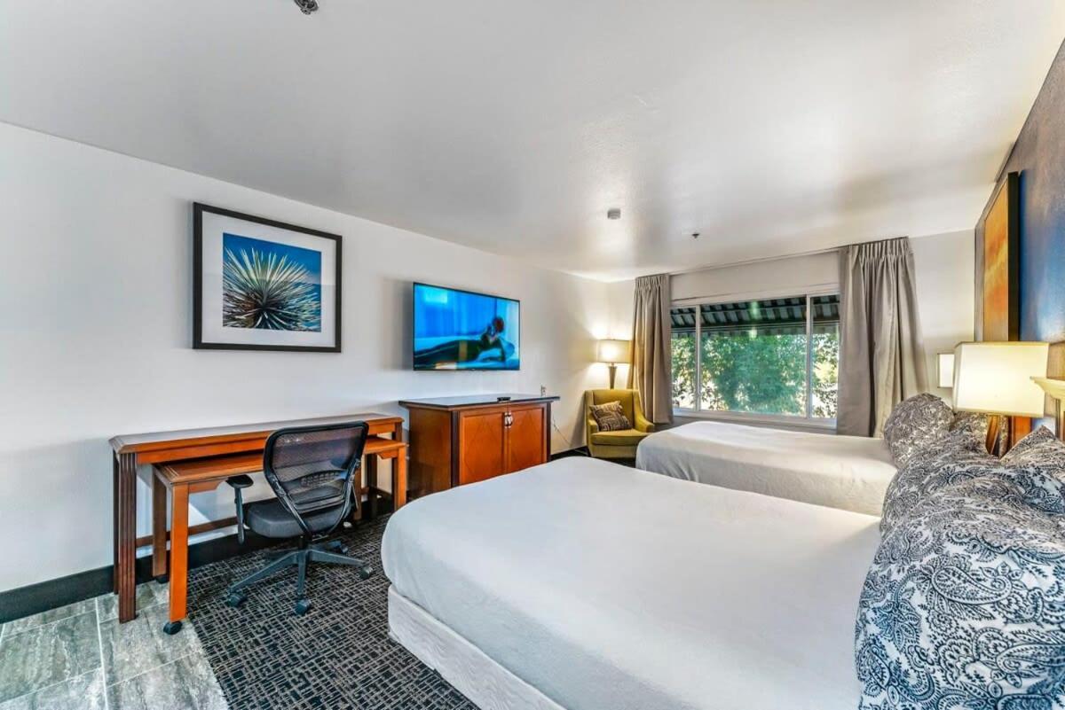 Tempe Studio Apartment TWO Full size BEDS Esterno foto
